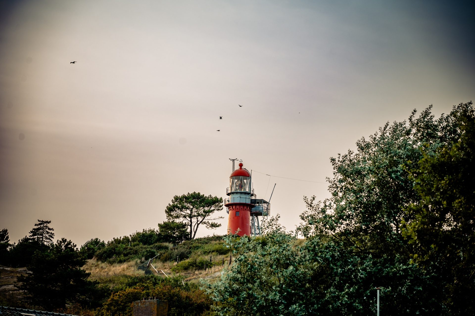 Vuurtorenbezoek